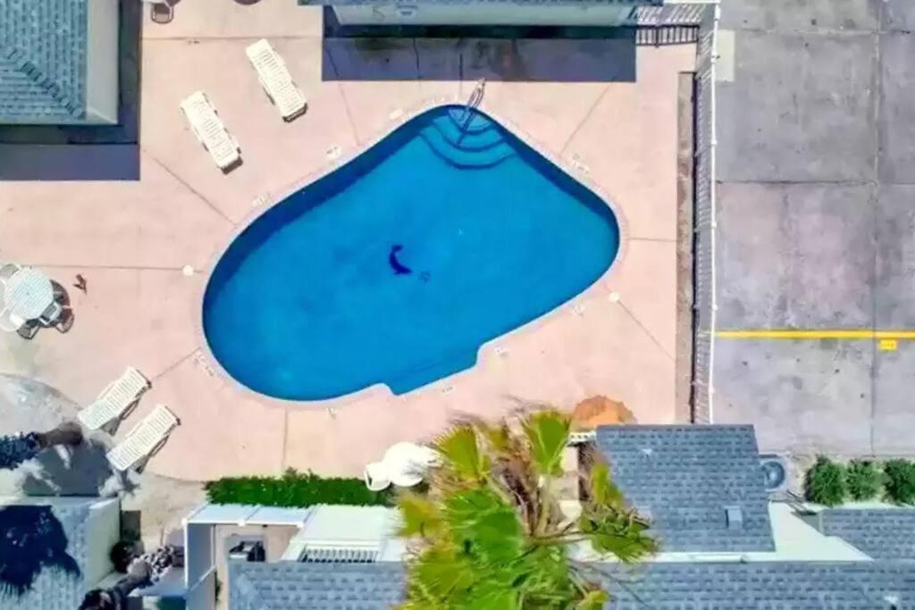 Spacious Home, Short Walk To Beach, Heated Pool! Corpus Christi Bagian luar foto
